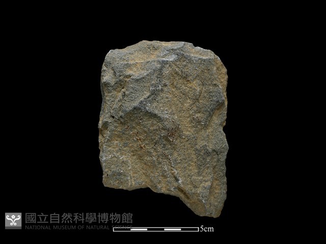 斧鋤形器藏品圖，第2張