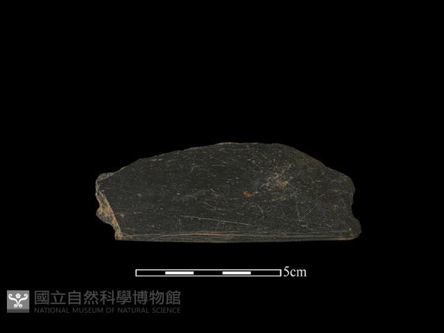 帶加工痕石材藏品圖，第1張