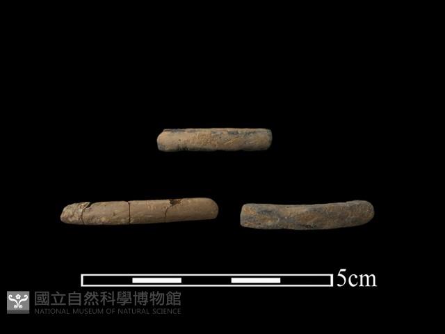 陶環藏品圖，第2張