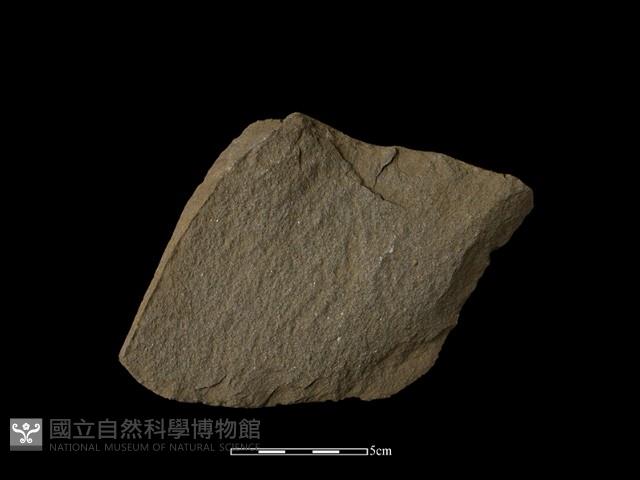石片器藏品圖，第2張