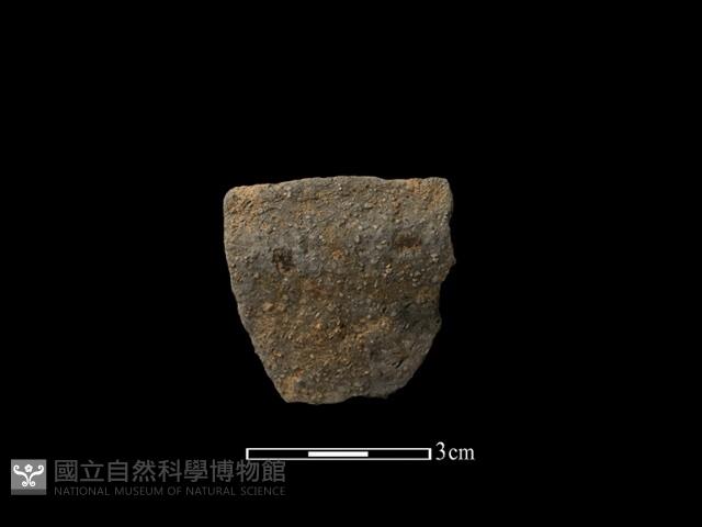 陶片藏品圖，第1張