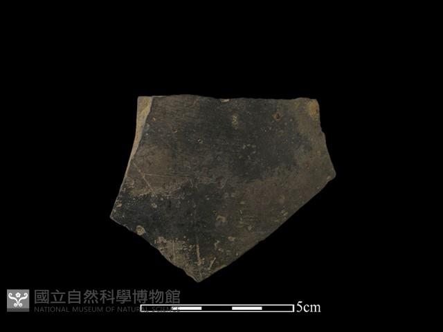 陶片藏品圖，第2張