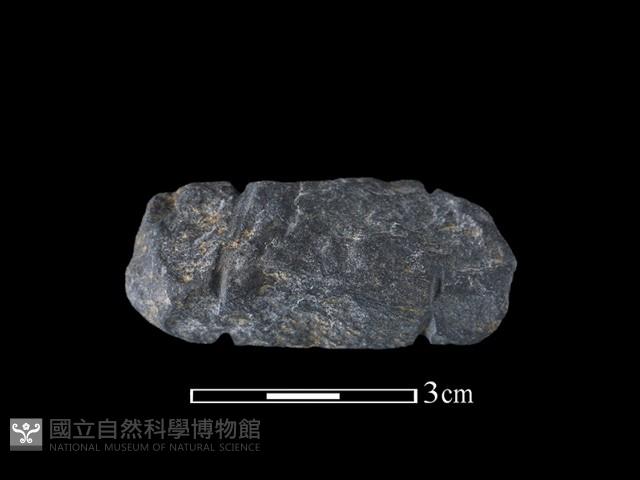 網墜藏品圖，第2張