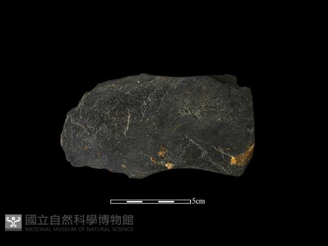 戈形器藏品圖，第2張