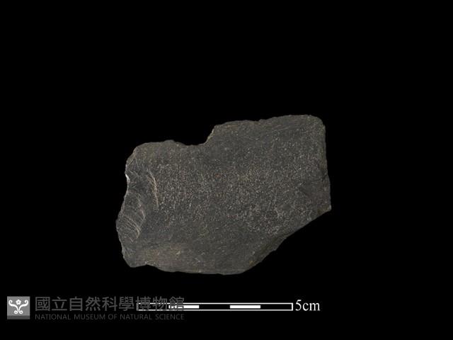 磨製有刃石器藏品圖，第1張