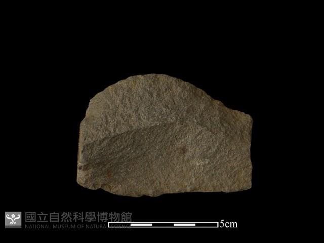 石片器藏品圖，第2張