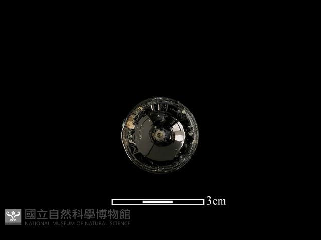 瓶蓋藏品圖，第1張