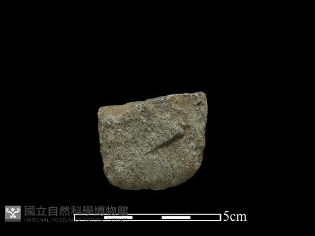 錛鑿形器藏品圖，第1張