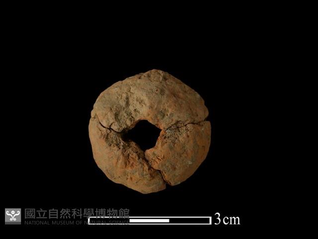 紡輪藏品圖，第2張