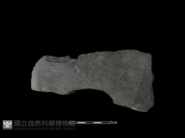 磨製有刃石器藏品圖，第1張