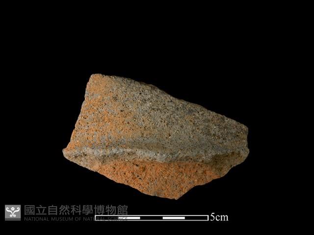 陶片藏品圖，第2張