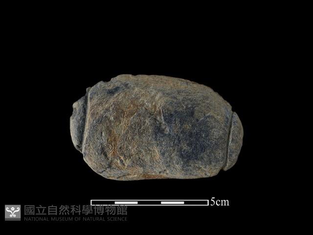 網墜藏品圖，第2張