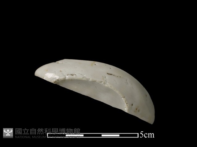 湯匙藏品圖，第1張