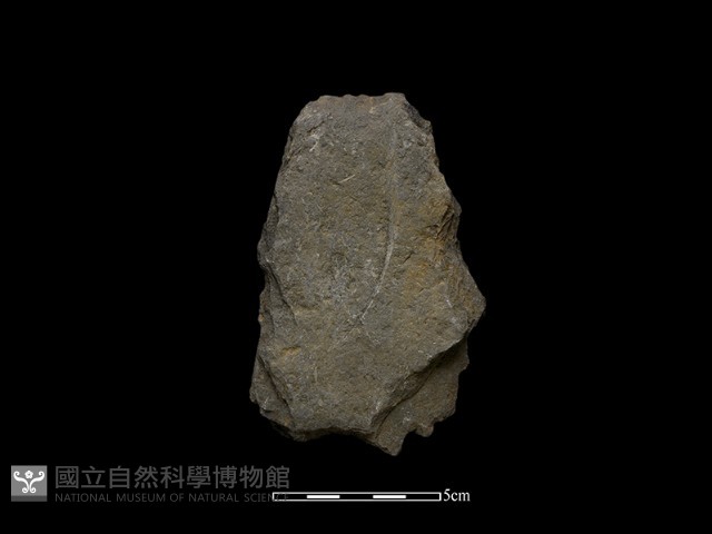 斧鋤形器藏品圖，第1張