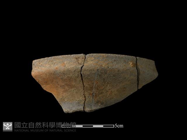 陶片藏品圖，第2張
