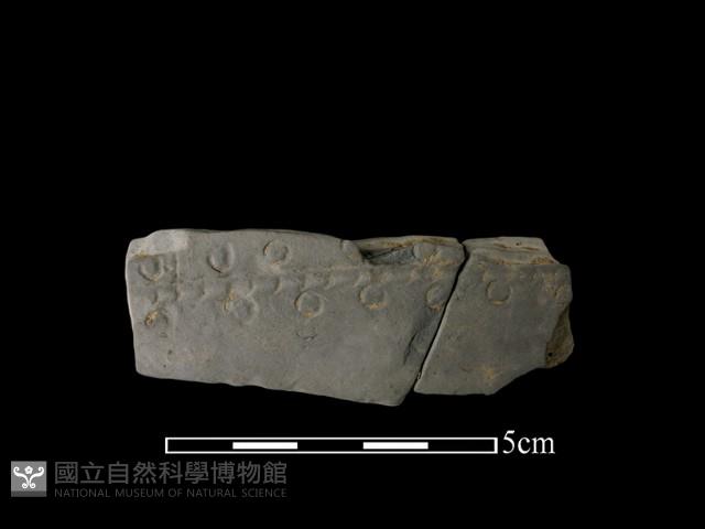 陶片藏品圖，第1張
