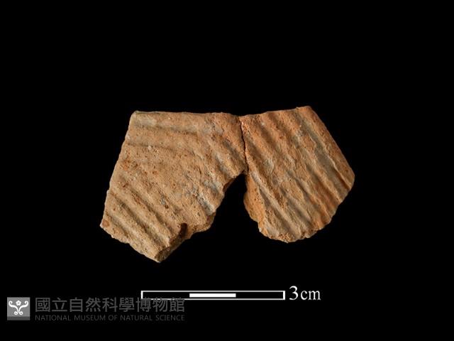 陶片藏品圖，第1張