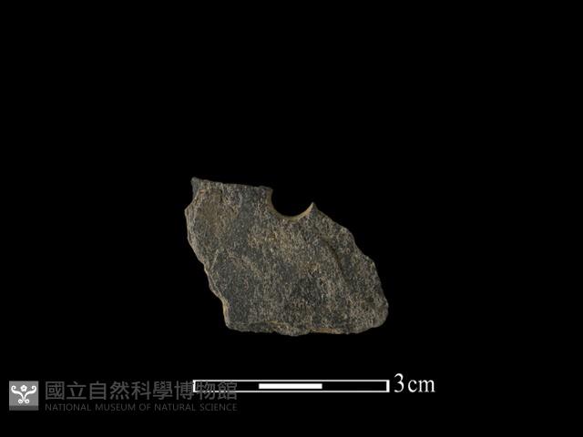 帶加工痕石材藏品圖，第1張