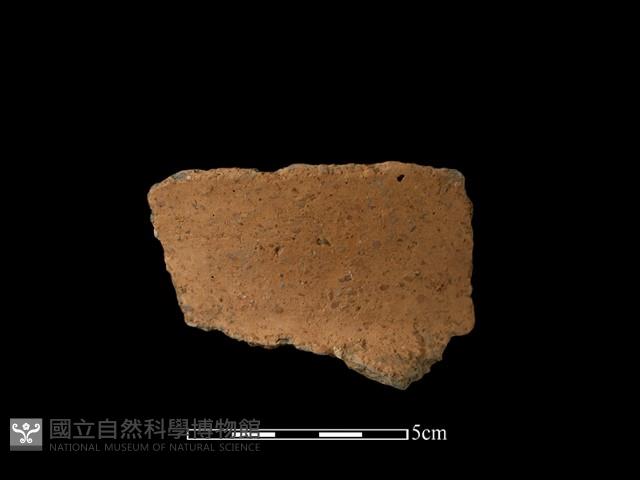 陶片藏品圖，第2張