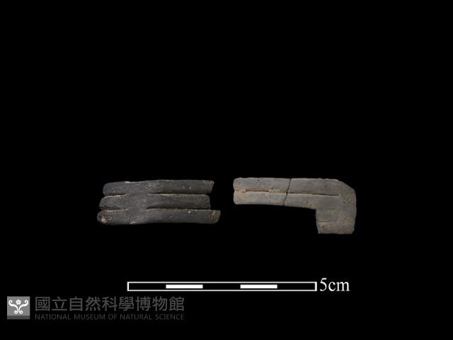 陶環藏品圖，第1張