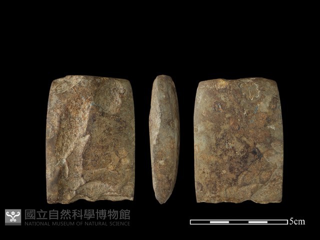錛鑿形器藏品圖，第1張