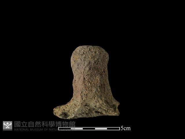 陶蓋鈕藏品圖，第1張