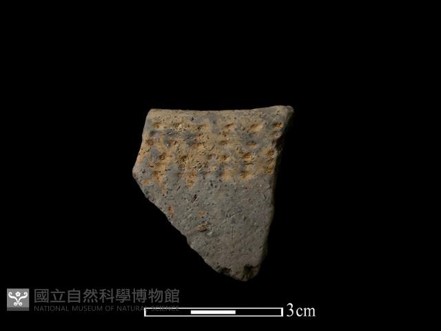 陶片藏品圖，第1張