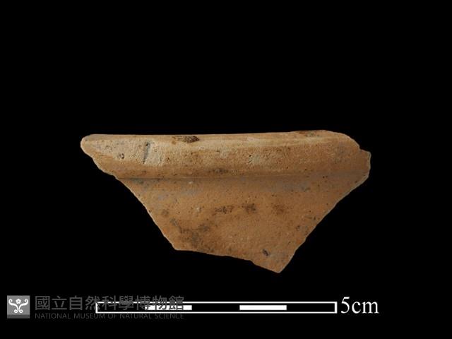 陶片藏品圖，第1張