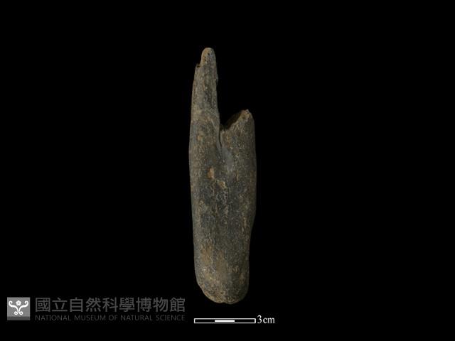 間接打擊棒藏品圖，第1張