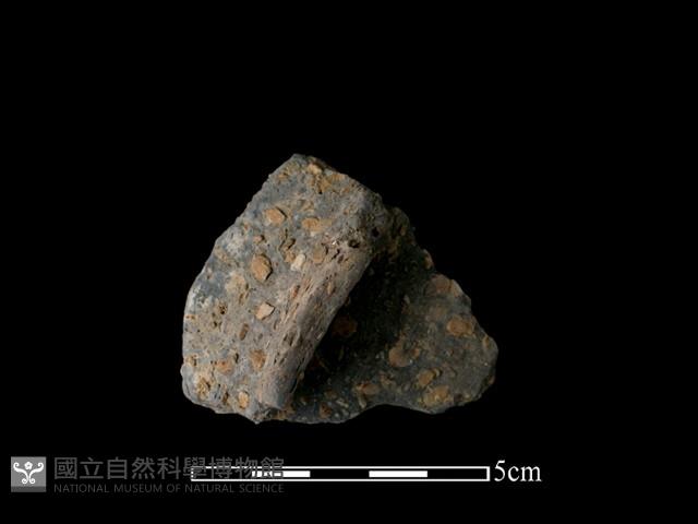 陶片藏品圖，第2張