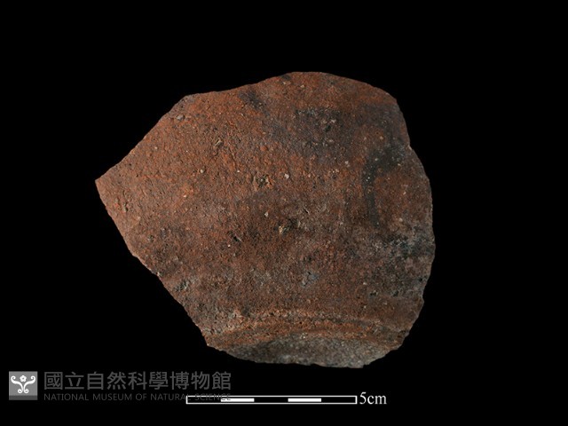 硬陶片藏品圖，第1張