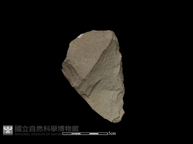 斧鋤形器藏品圖，第1張