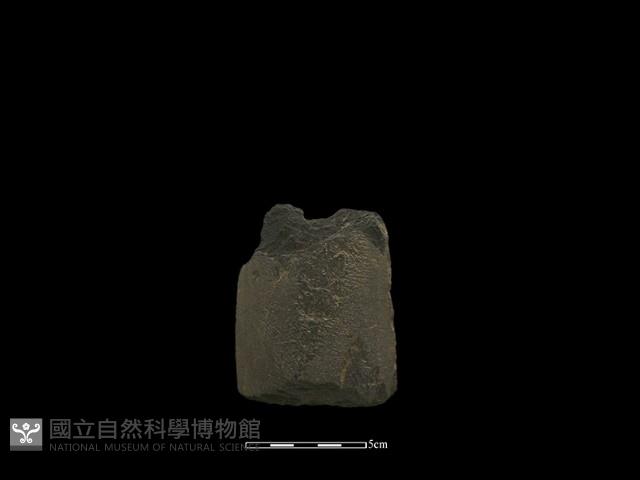 矛鏃形器藏品圖，第1張