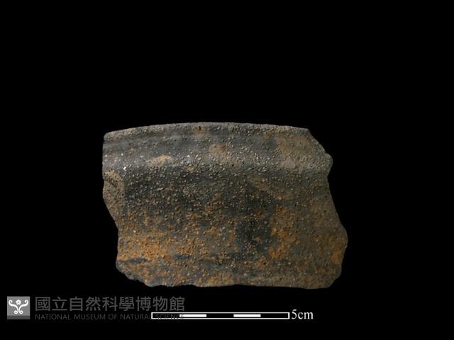 陶片藏品圖，第2張