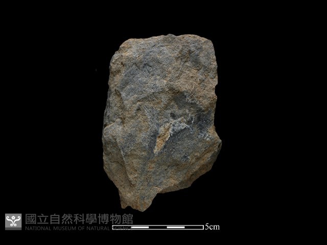 斧鋤形器藏品圖，第2張