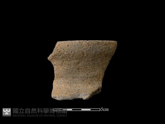 陶片藏品圖，第1張