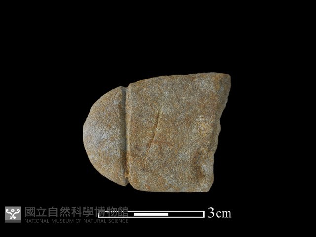 網墜藏品圖，第1張