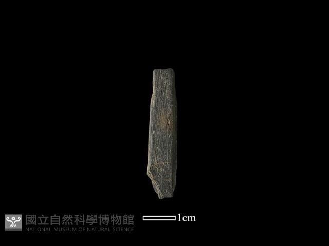 帶加工痕石材藏品圖，第2張