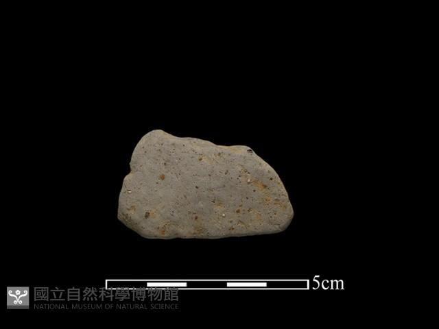 陶片藏品圖，第1張