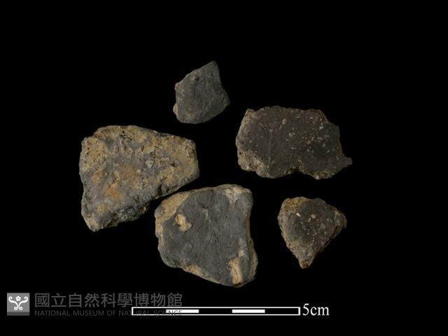 陶片藏品圖，第1張
