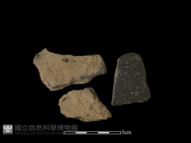 陶片藏品圖，第1張
