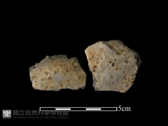 陶片藏品圖，第1張