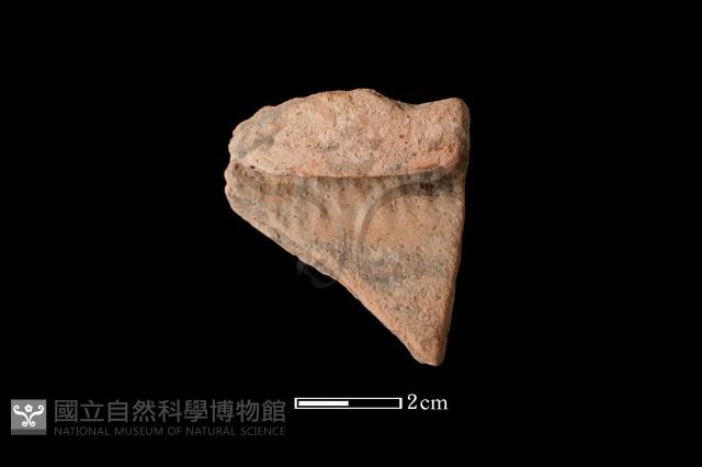 陶片藏品圖，第1張