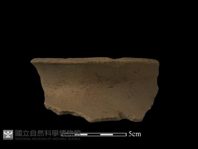 陶片藏品圖，第2張