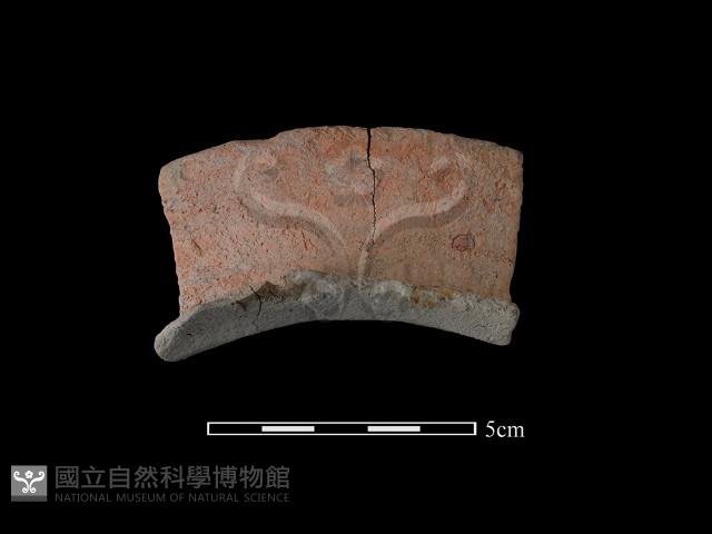 陶罐藏品圖，第1張