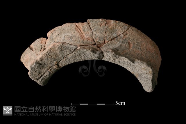 陶片藏品圖，第1張