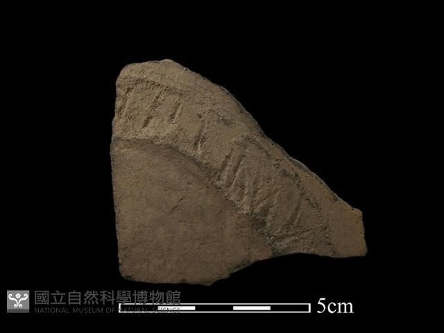 陶片藏品圖，第1張