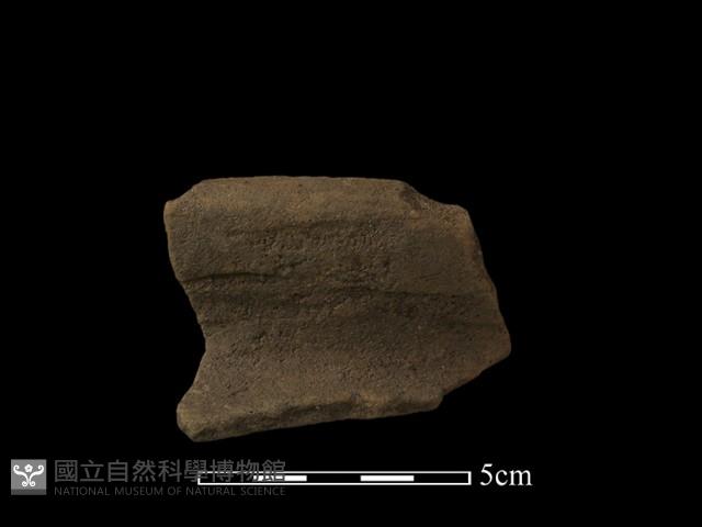 陶片藏品圖，第2張