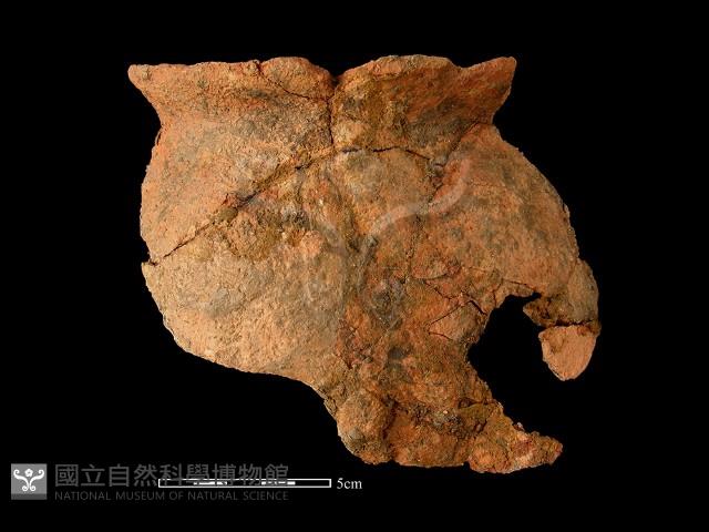 陶罐藏品圖，第1張