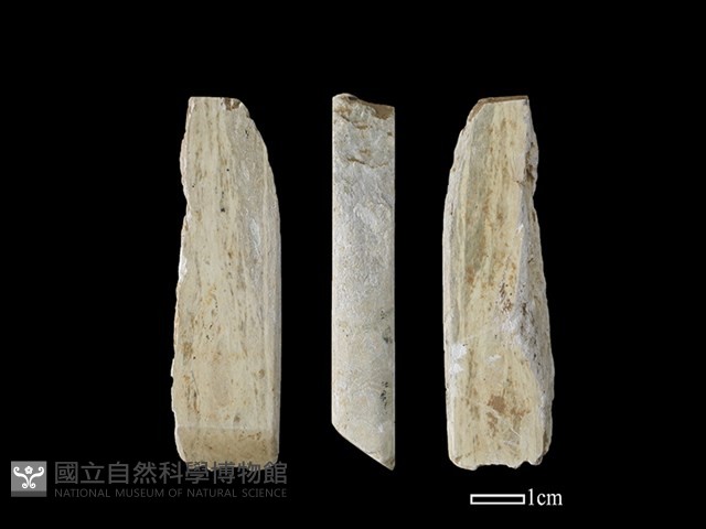 錛鑿形器藏品圖，第1張